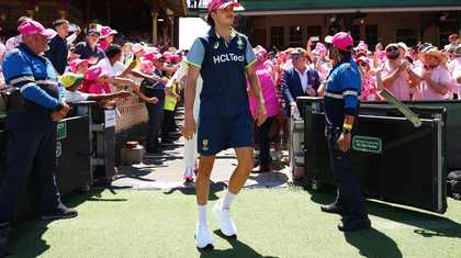 质更能决定 质更能决定